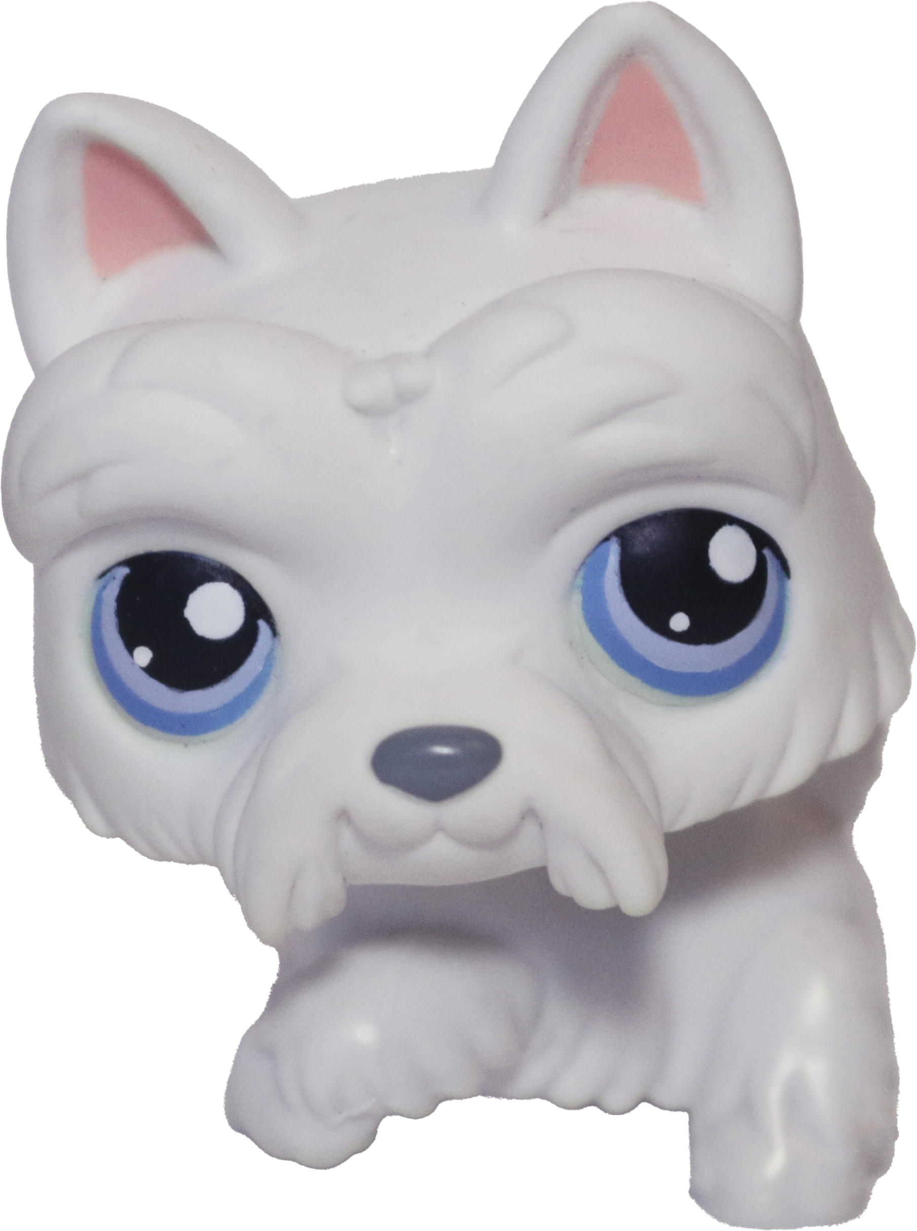 #0024 Scottish Terrier