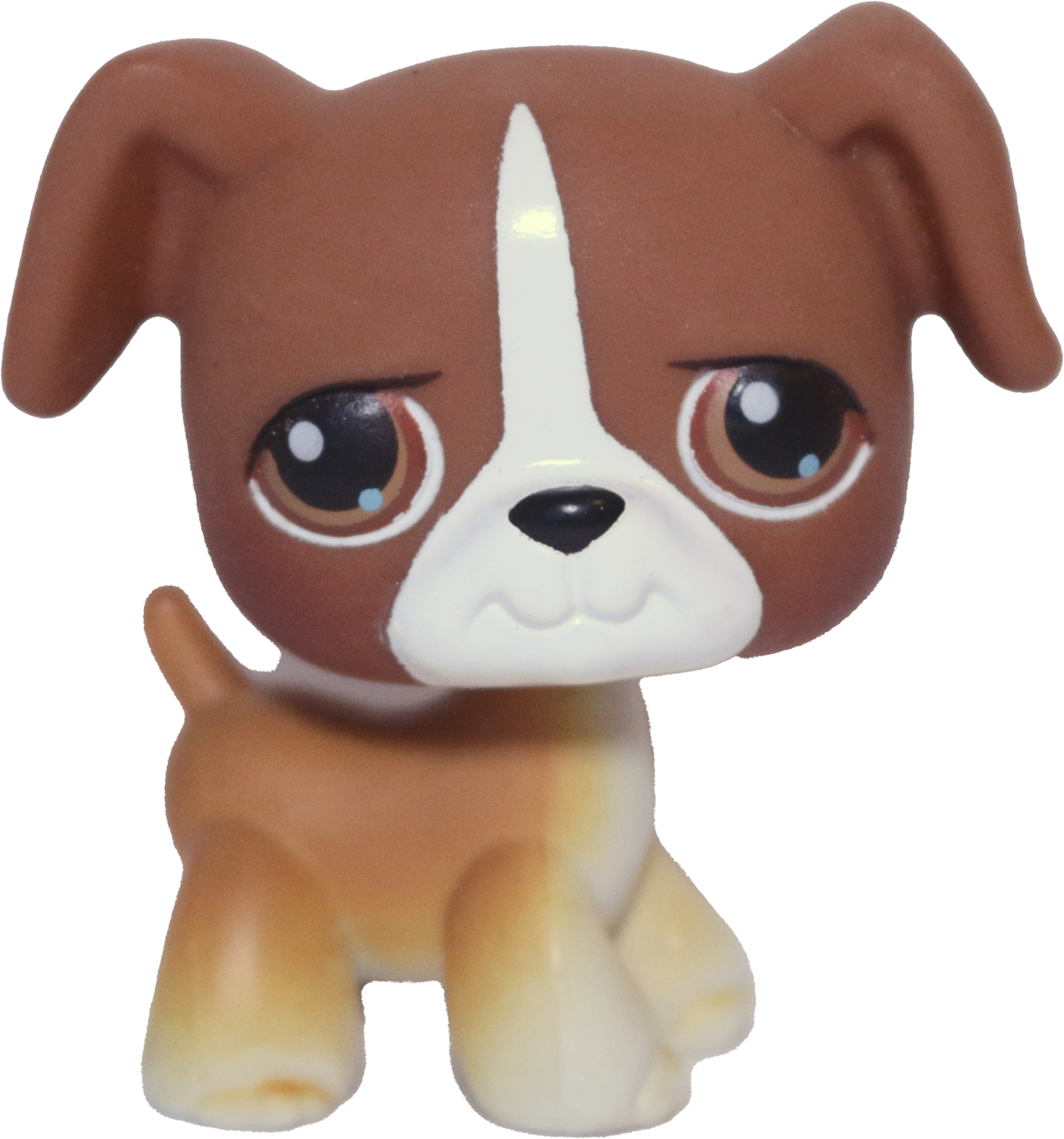 #0025 Boxer