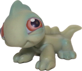 #0029 Iguana