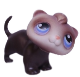 #0033 Ferret