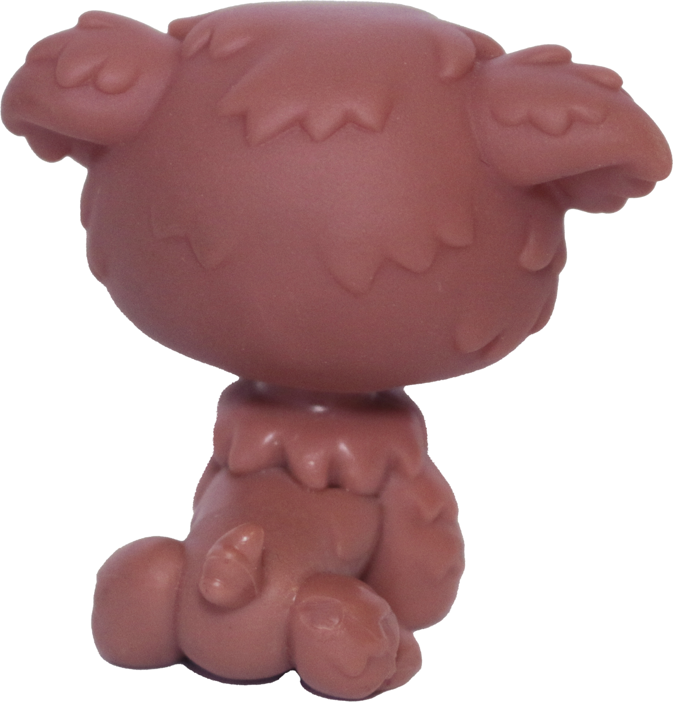#0038 Poodle Puppy