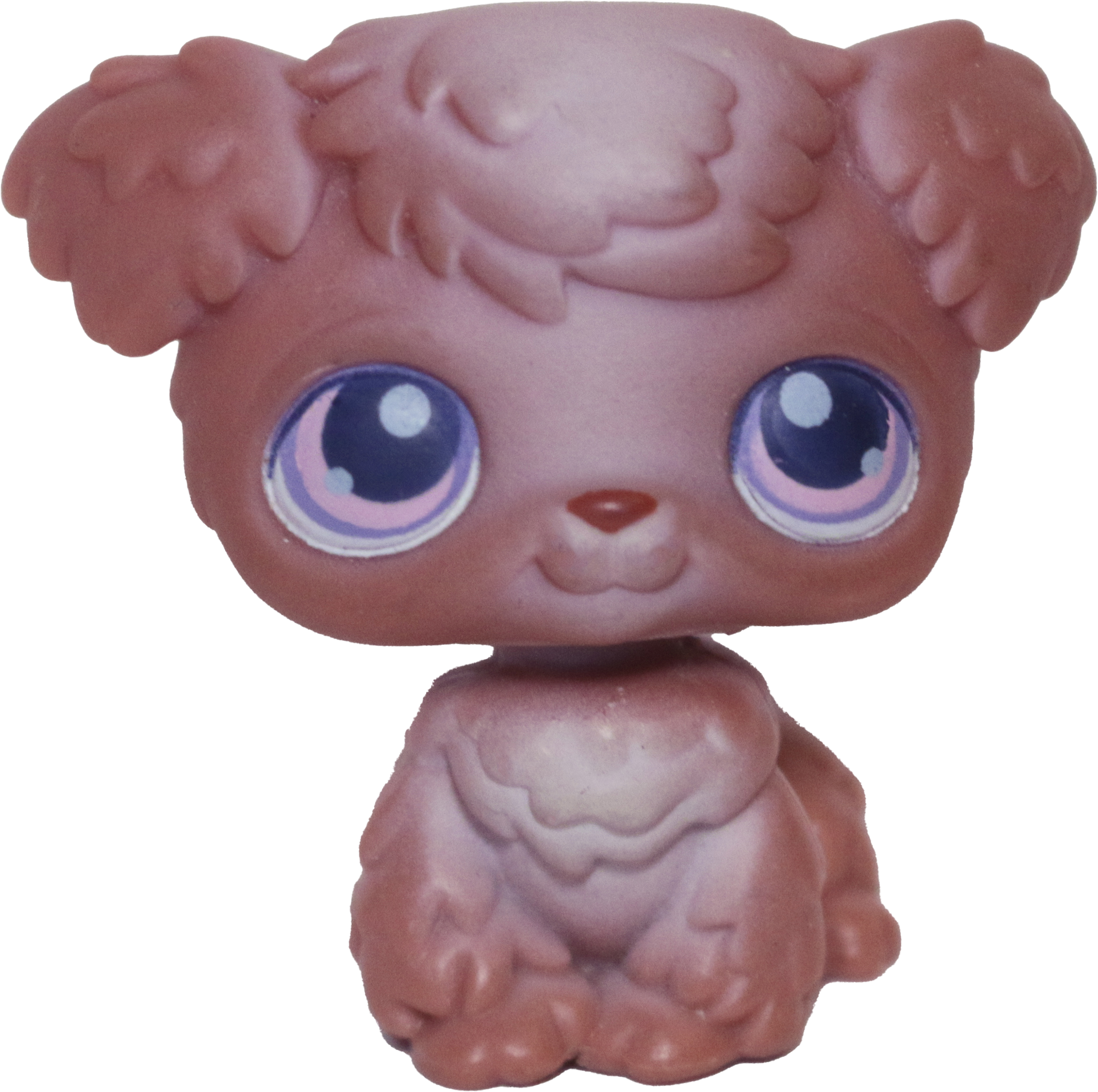 #0038 Poodle Puppy