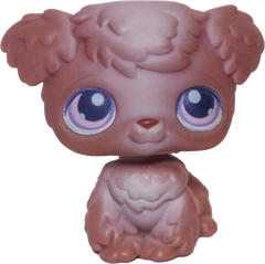 #0038 Poodle Puppy