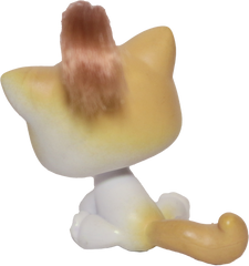 #0042 Sitting Cat