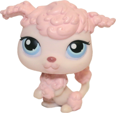 #0048 Poodle