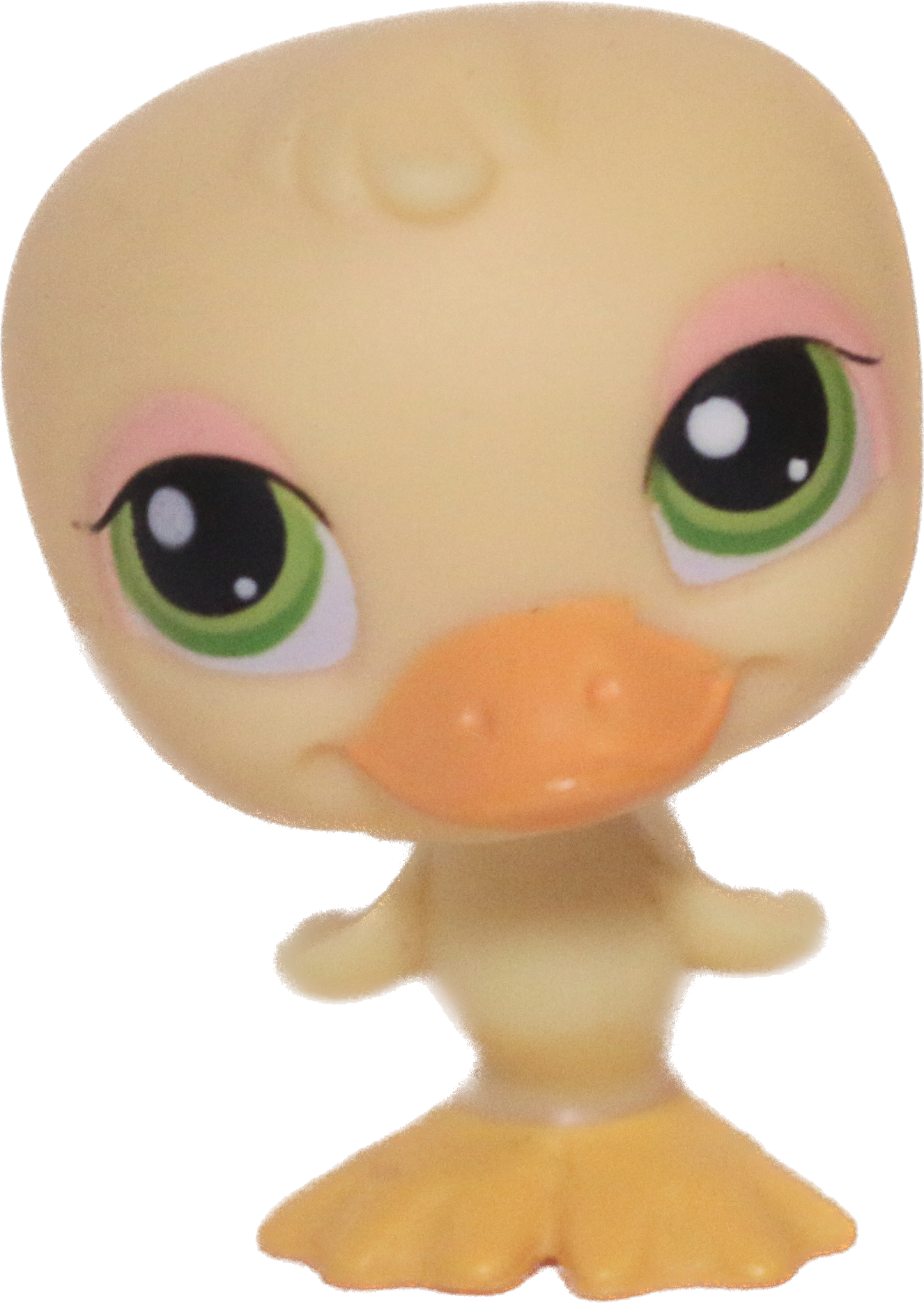 #0051 Duck