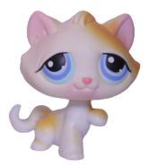 #0052 Paw Up Cat