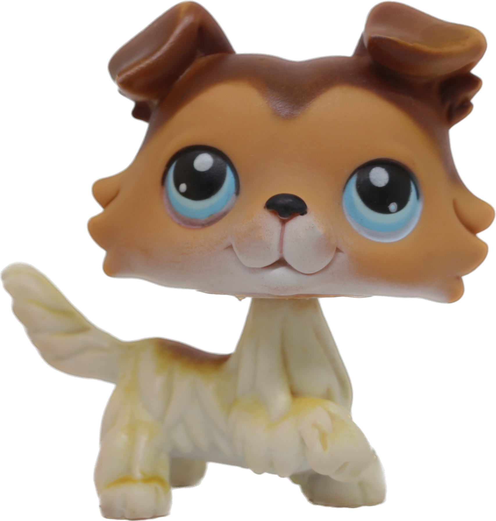 #0058 Collie
