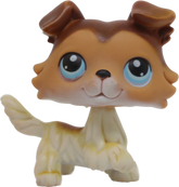 #0058 Collie
