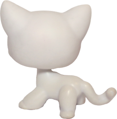 #0064 Shorthair Cat