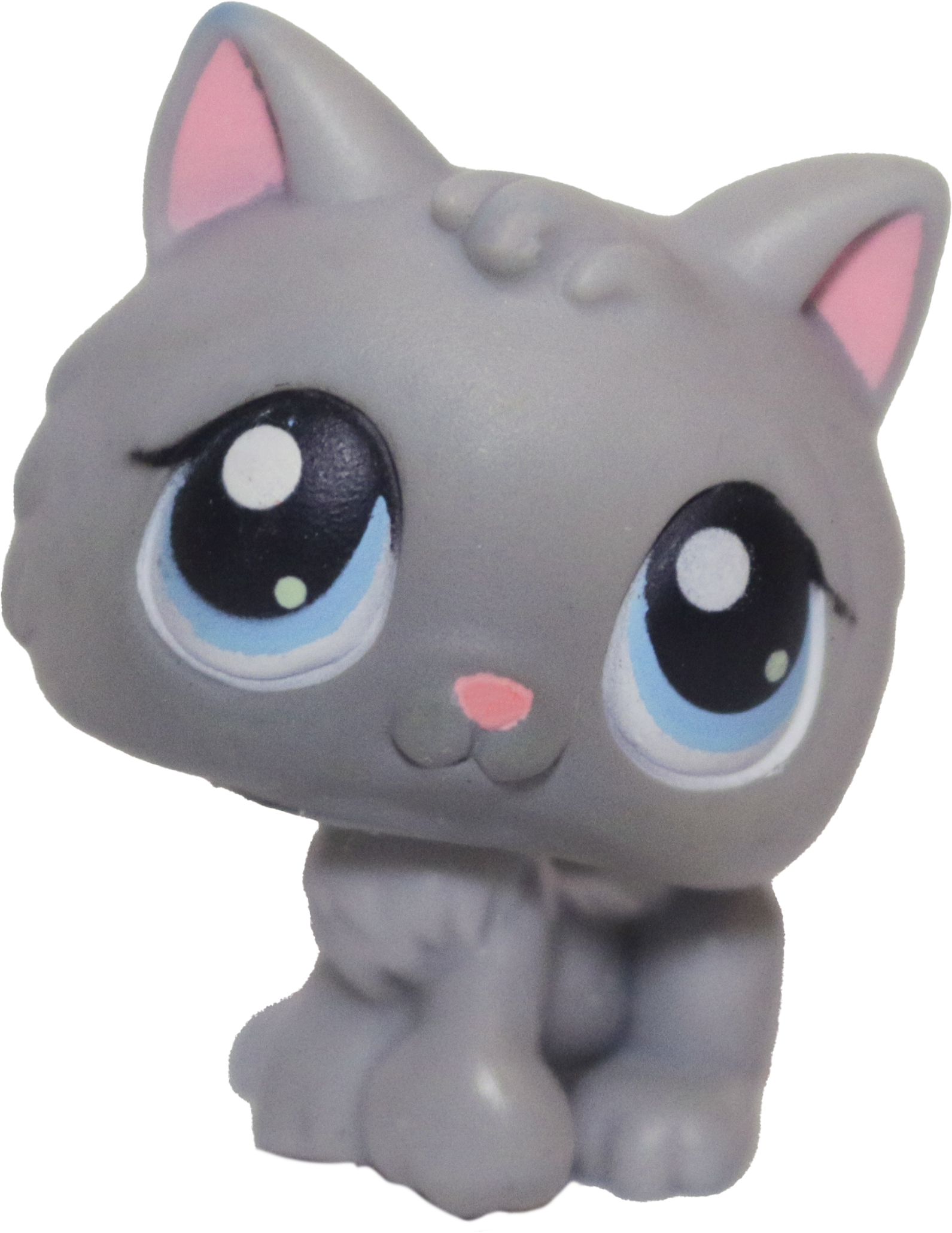 #0066 Kitten