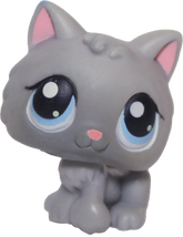 #0066 Kitten