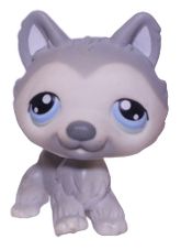 #0069 Husky