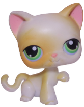 #0073 Paw Up Cat
