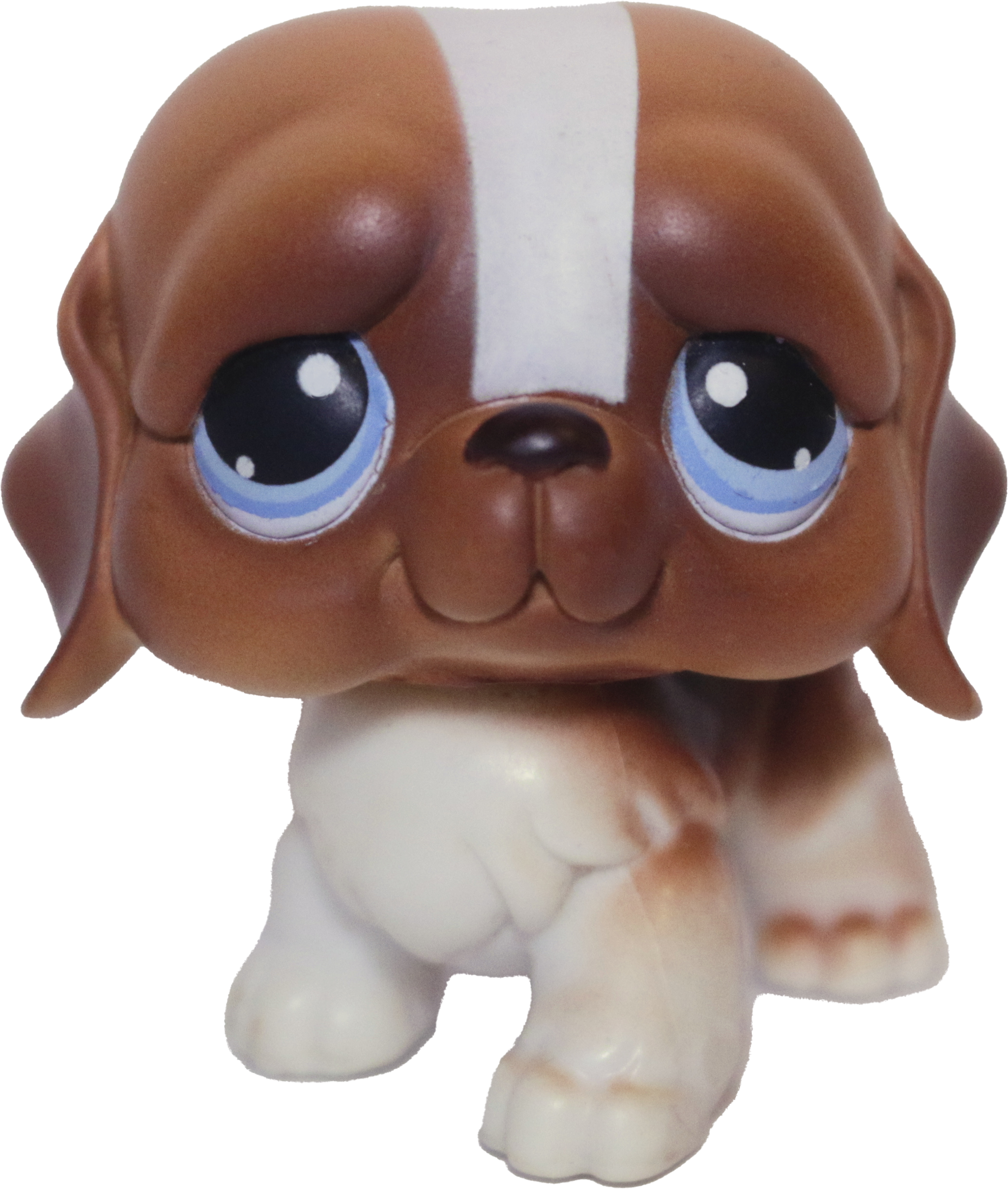#0076 Saint Bernard
