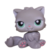 #0082 Persian Cat