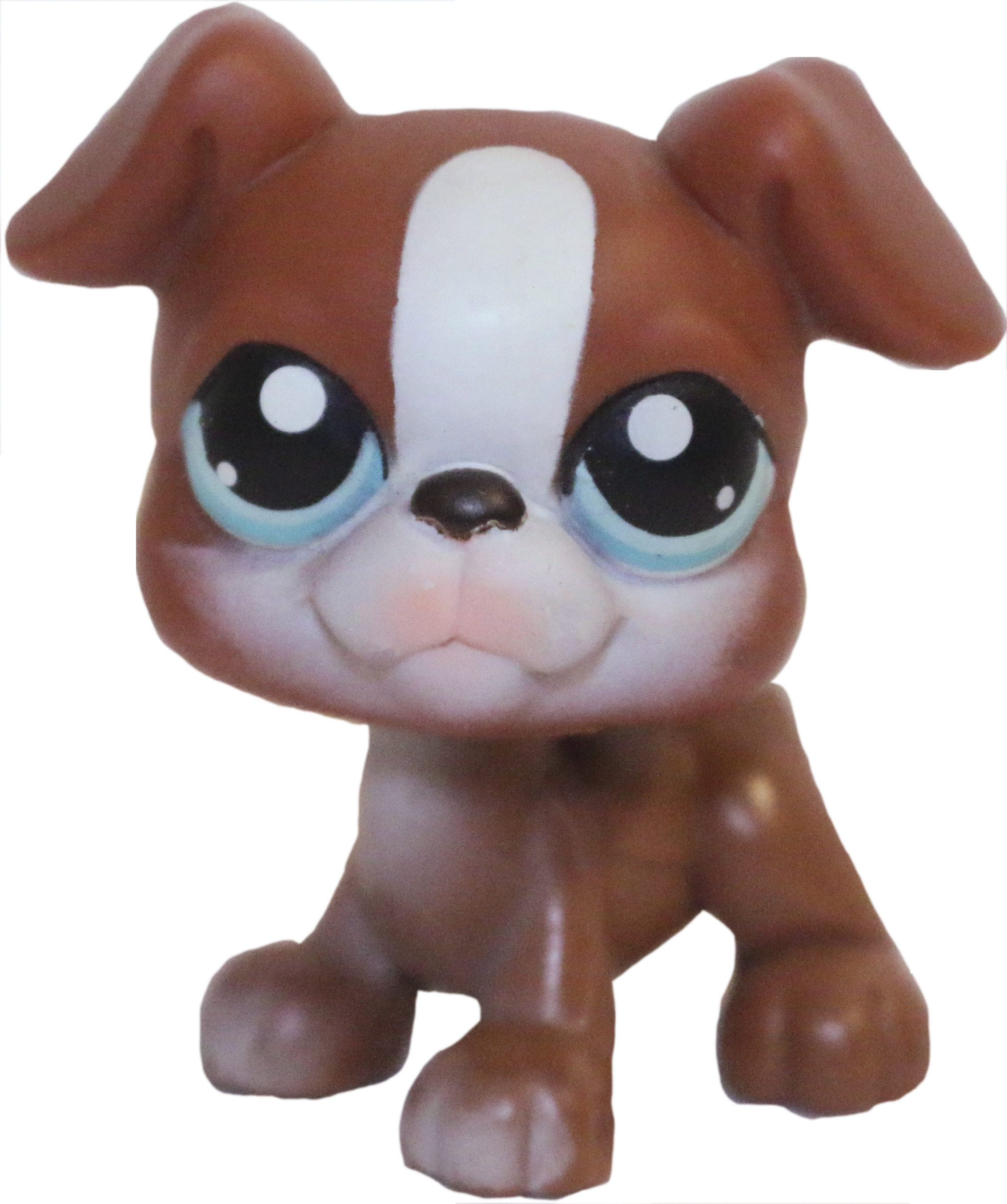 #0083 Boxer