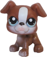 #0083 Boxer