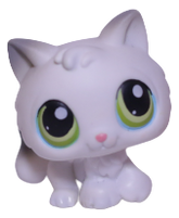 #0100 Kitten
