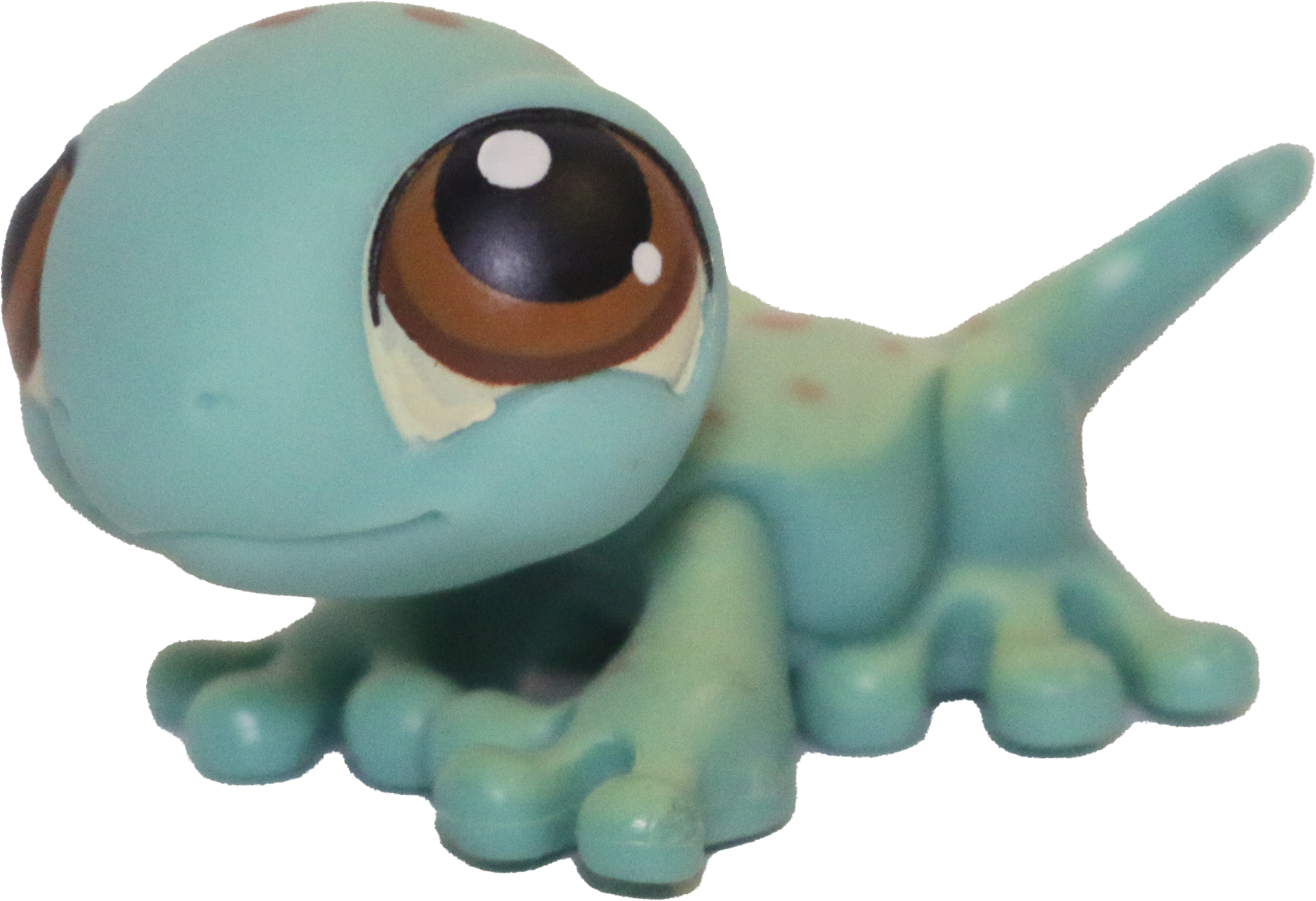 #0111 Gecko