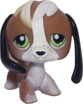 #0113 Beagle