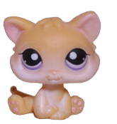 #0114 Kitten
