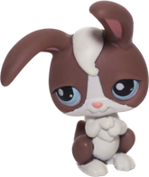 #0121 Rabbit