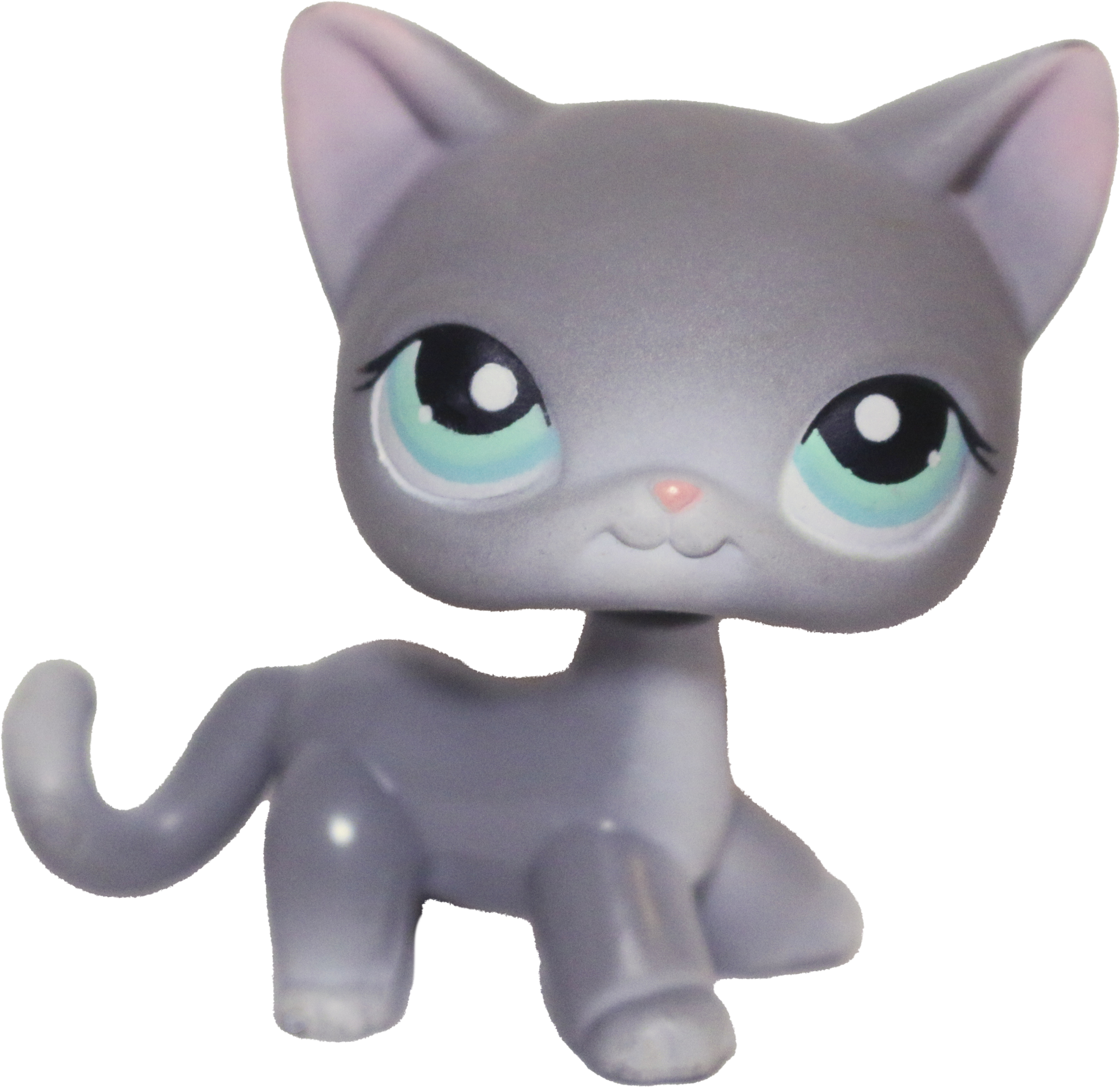 #0126 Shorthair Cat