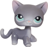 #0126 Shorthair Cat