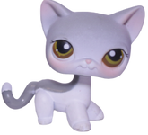 #0138 Shorthair Cat