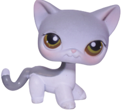 #0138 Shorthair Cat