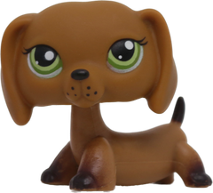 #0139/307 Dachshund
