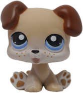 #0143 Puppy