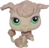 #0146 Poodle