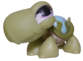 #0149 Turtle
