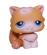 #0153 Persian Cat