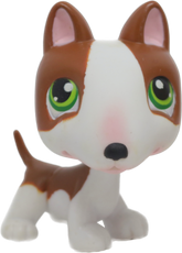 #0154 Bull Terrier