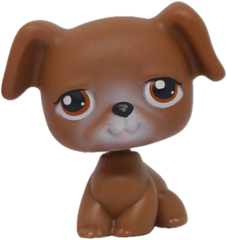 #0173 Boxer