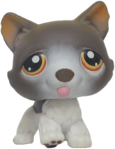 #0174 Husky
