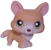 #0183 Corgi