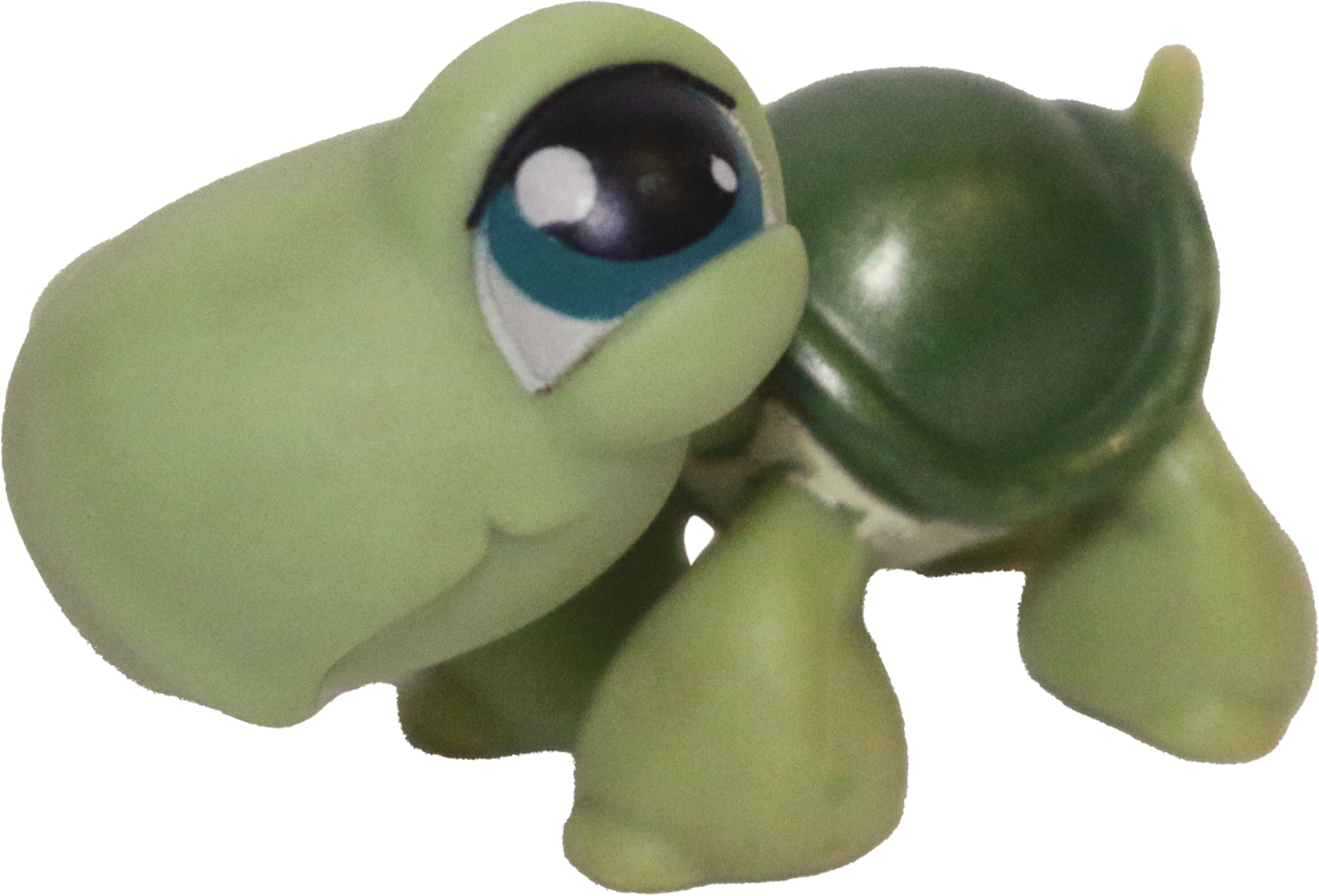 #0187 Turtle