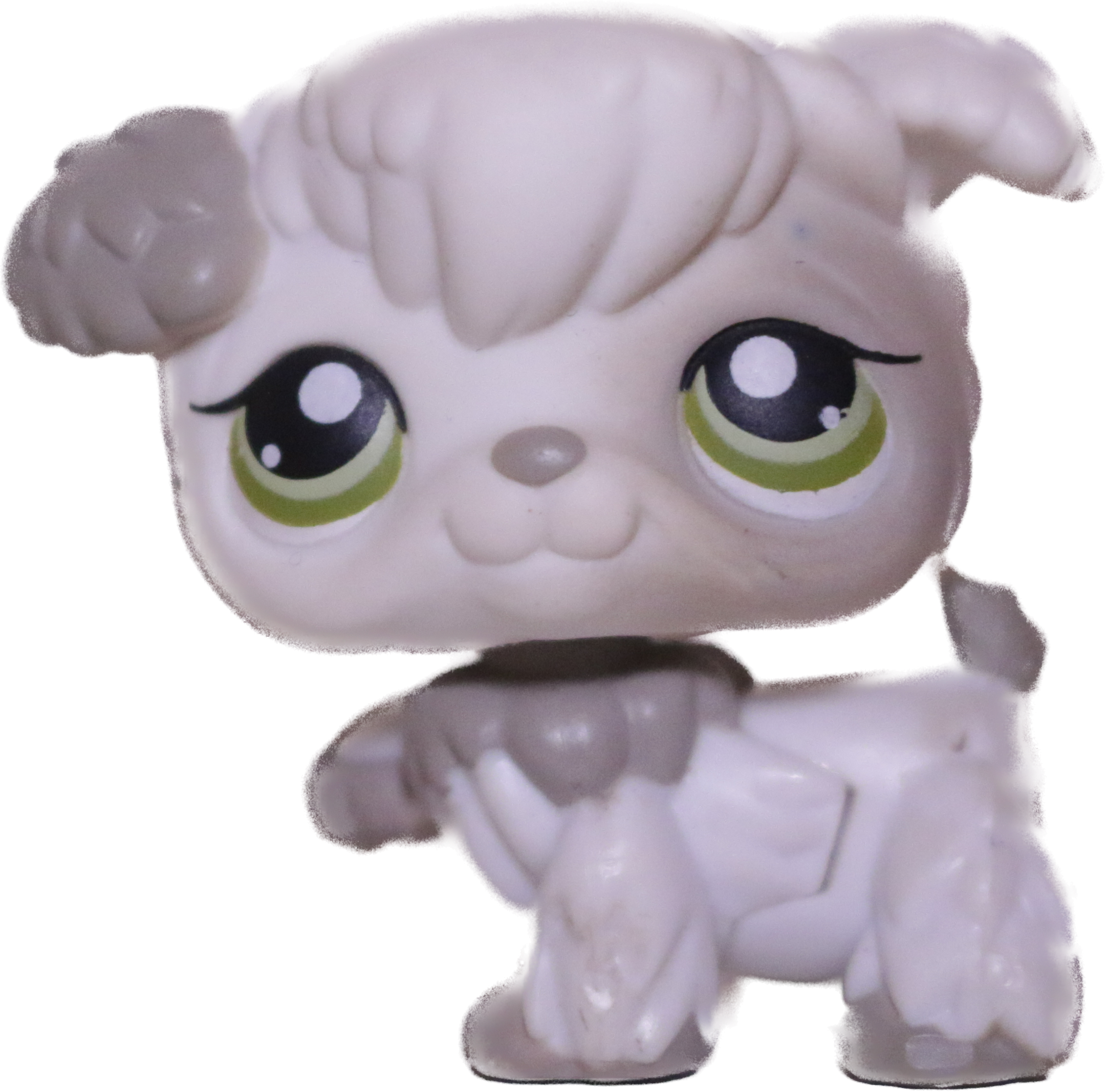 #0203 Poodle Puppy