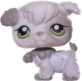 #0203 Poodle Puppy