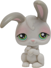 #0211 Rabbit