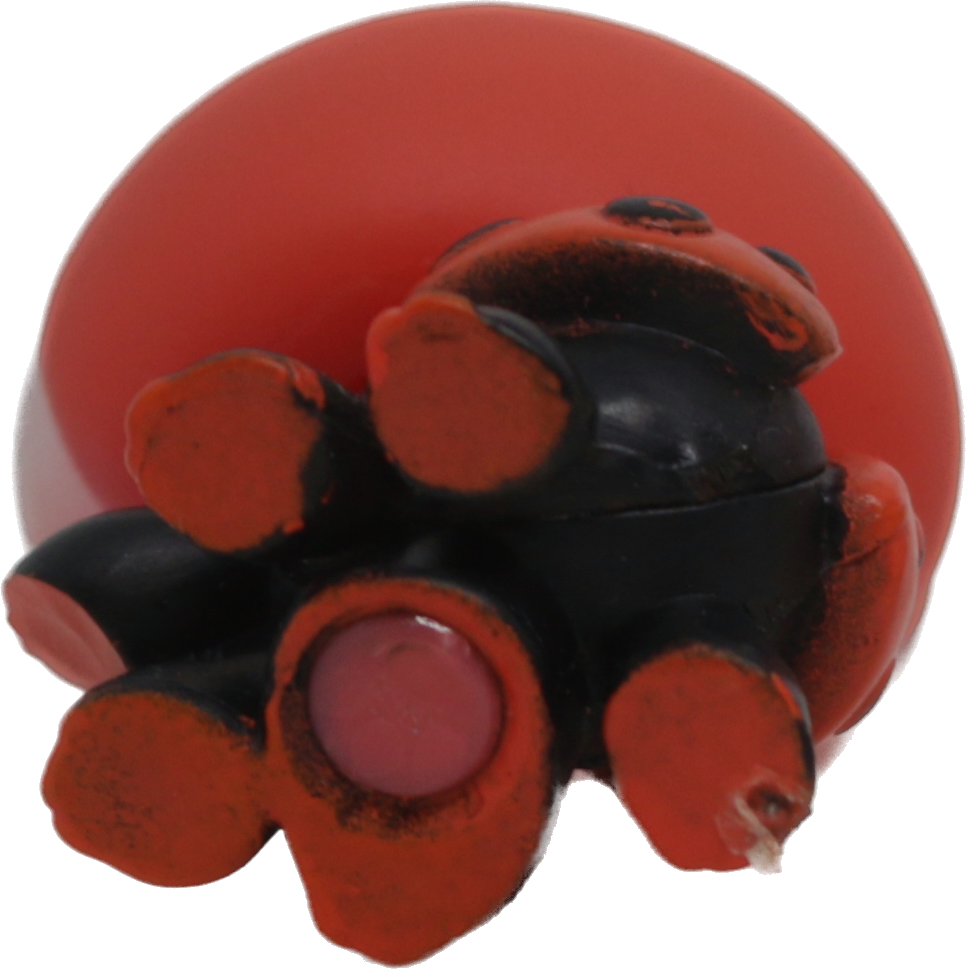 #0221 Ladybug