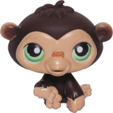 #0223 Chimpanzee