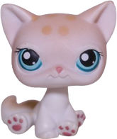 #0224 Sitting Cat