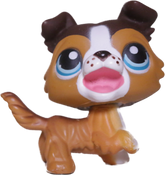#0237 Collie