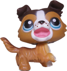 #0237 Collie