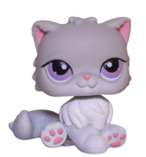 #0251 Persian Cat